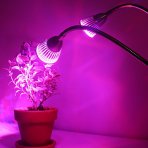 PROFI UV LED GROW lampa na všetky rastliny, 10W , dvojramenná, ružovo-modrá